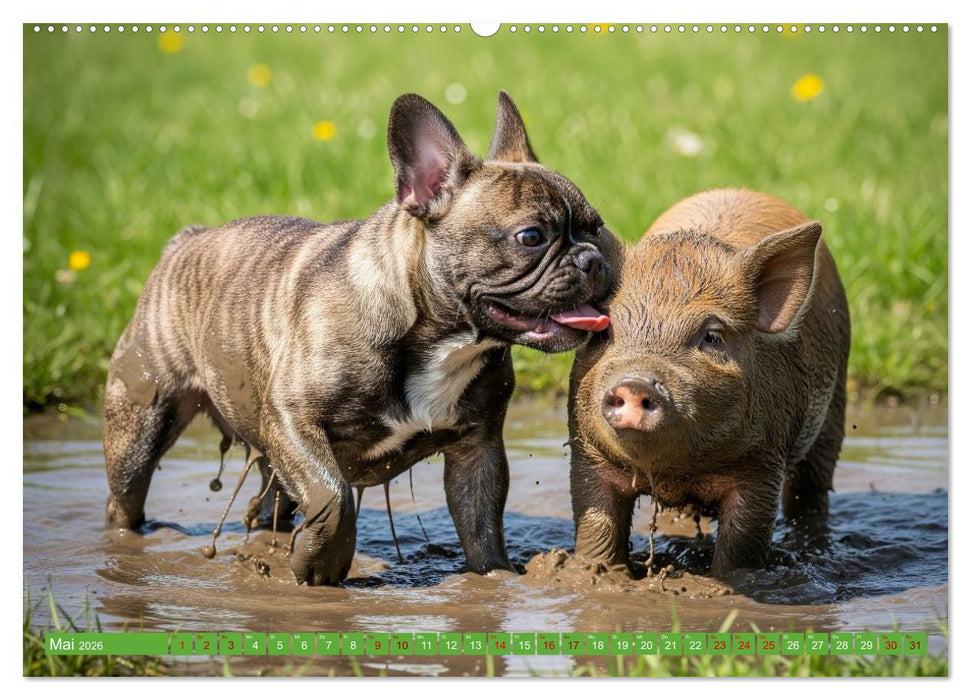 Muddi Buddies – Freundschaft im Matsch (CALVENDO Wandkalender 2026)