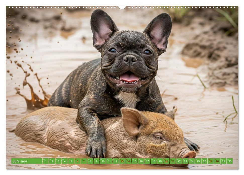 Muddi Buddies – Freundschaft im Matsch (CALVENDO Wandkalender 2026)