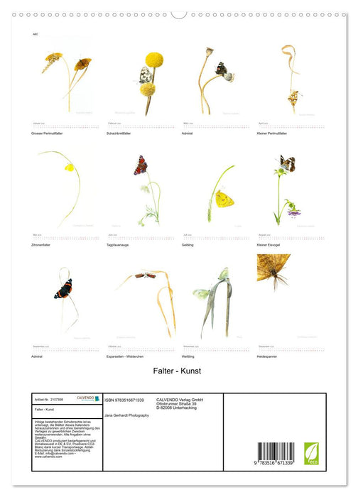 Falter - Kunst (CALVENDO Premium Wandkalender 2026)