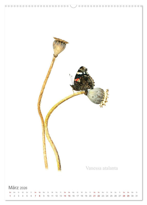 Falter - Kunst (CALVENDO Premium Wandkalender 2026)