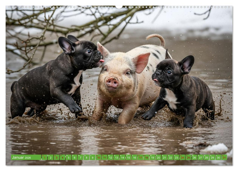 Muddi Buddies – Freundschaft im Matsch (CALVENDO Premium Wandkalender 2026)