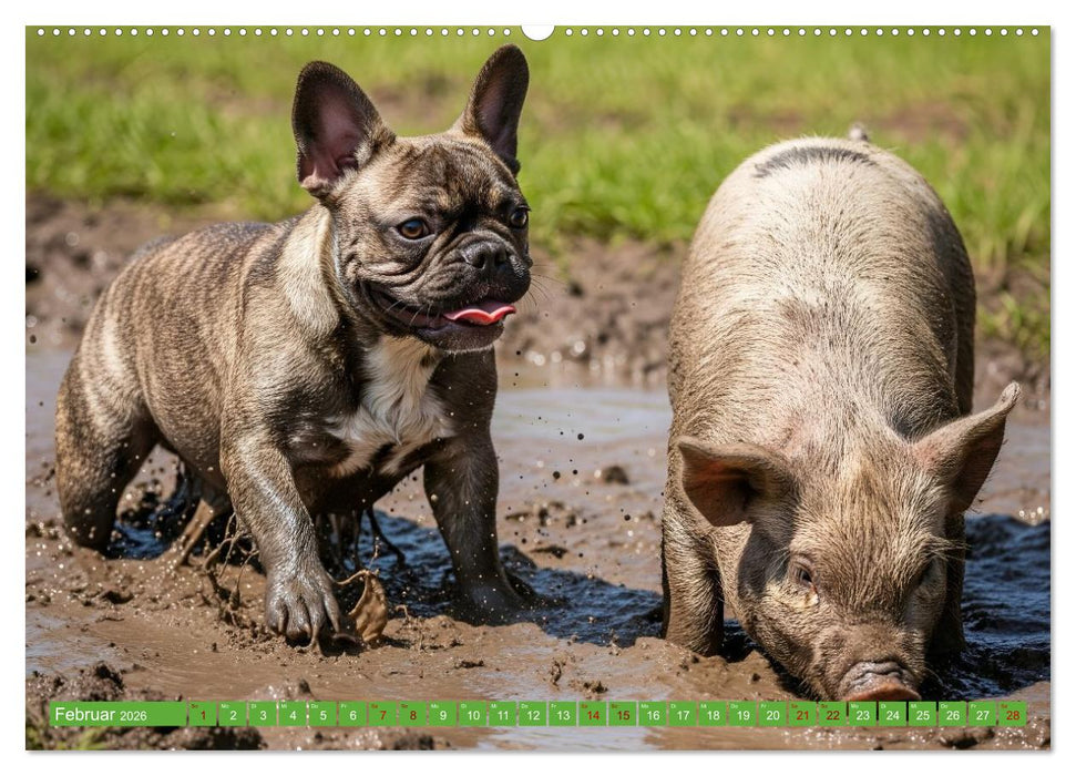 Muddi Buddies – Freundschaft im Matsch (CALVENDO Premium Wandkalender 2026)