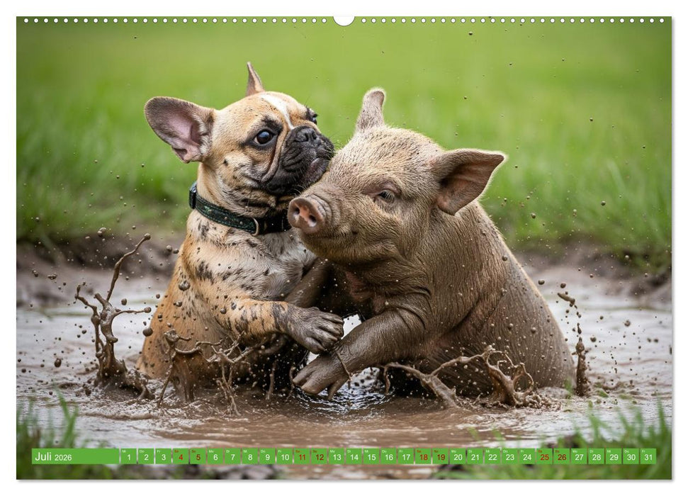 Muddi Buddies – Freundschaft im Matsch (CALVENDO Premium Wandkalender 2026)