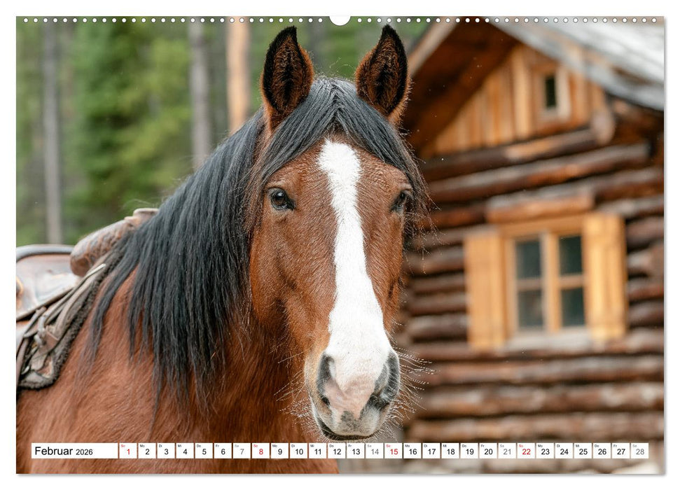 Pferde in freier Natur (CALVENDO Wandkalender 2026)