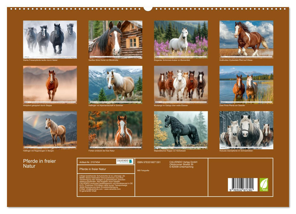 Pferde in freier Natur (CALVENDO Premium Wandkalender 2026)