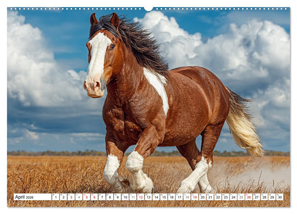 Pferde in freier Natur (CALVENDO Premium Wandkalender 2026)