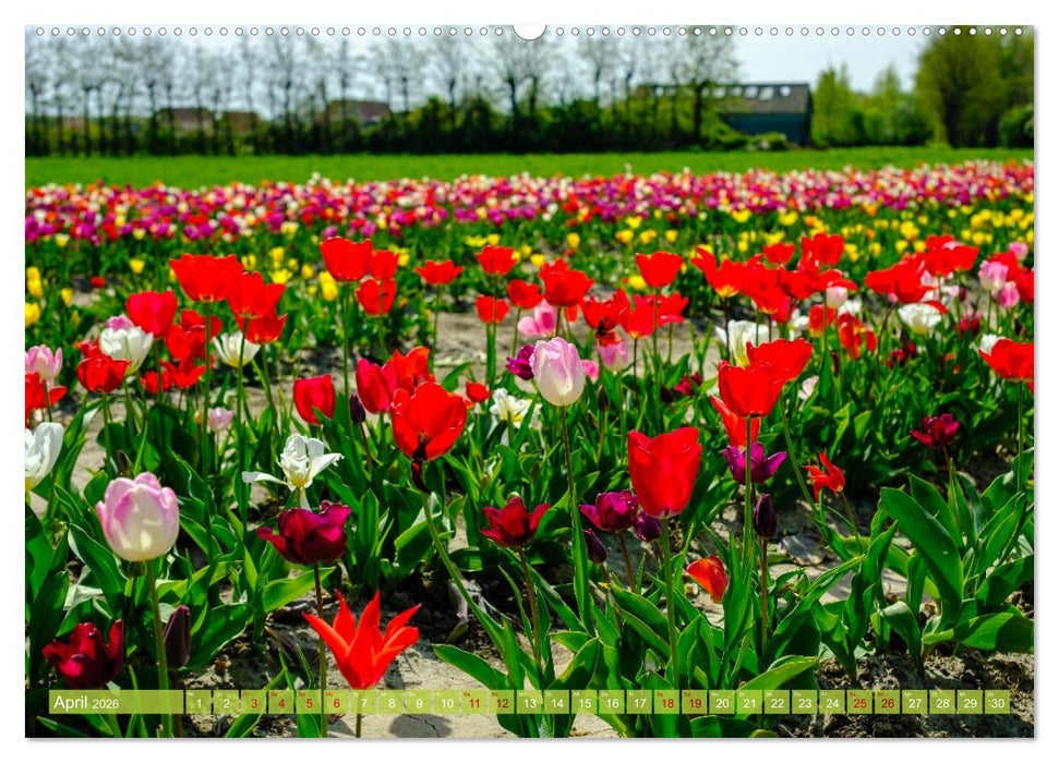 Das ist Zeeland! (CALVENDO Premium Wandkalender 2026)