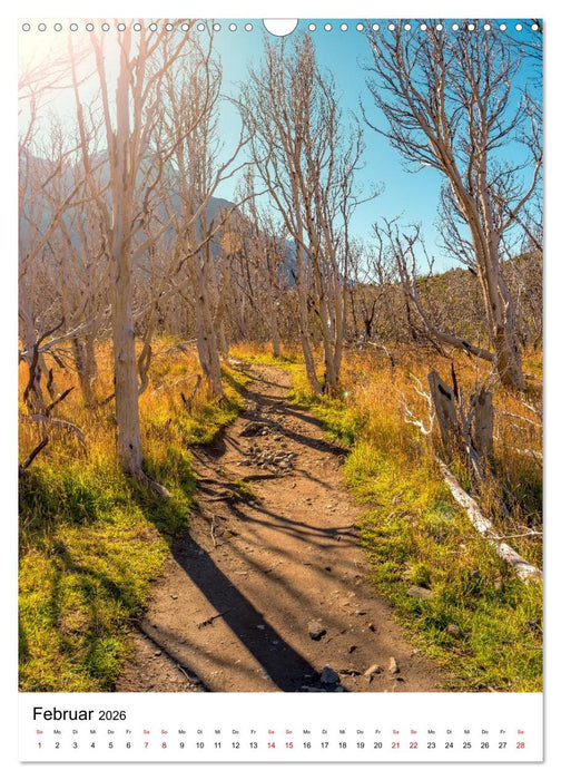 Patagonien, die schönsten Reiseziele: Wildnis am Rande der Welt (CALVENDO Wandkalender 2026)