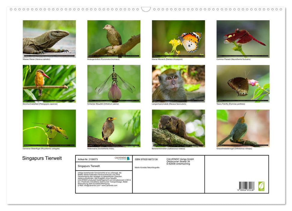 Singapurs Tierwelt (CALVENDO Wandkalender 2026)
