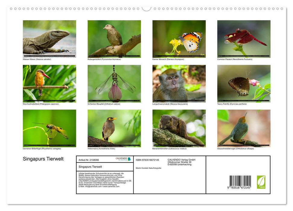 Singapurs Tierwelt (CALVENDO Premium Wandkalender 2026)
