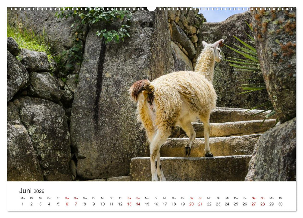 Macchu Picchu (CALVENDO Wandkalender 2026)