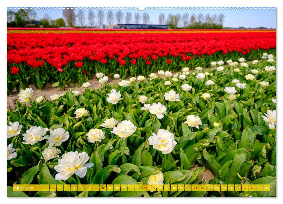 Feeling Holland (CALVENDO Wandkalender 2026)