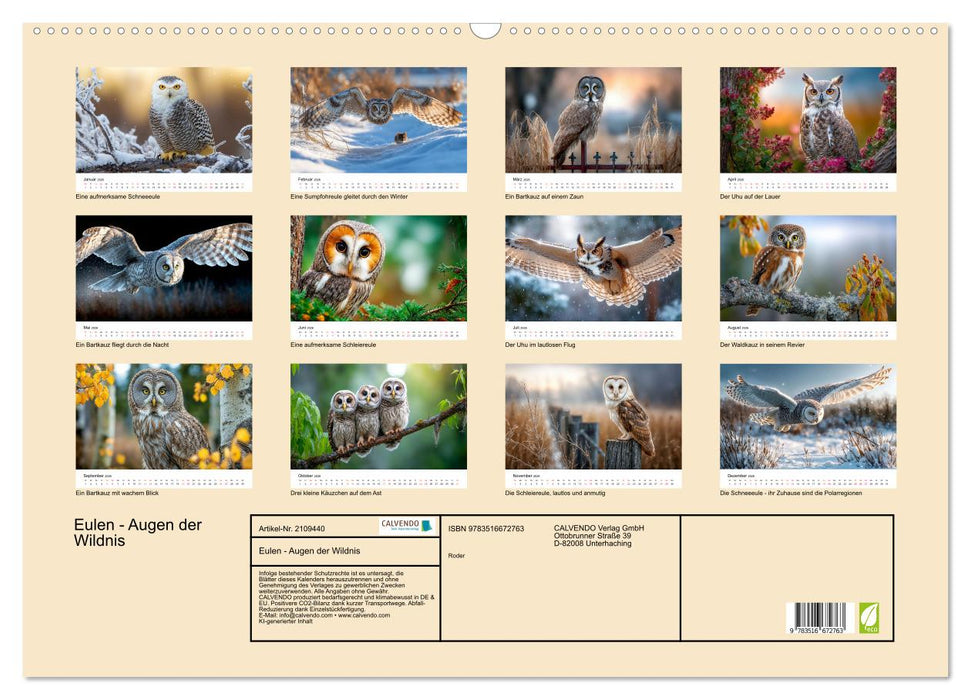 Eulen - Augen der Wildnis (CALVENDO Wandkalender 2026)