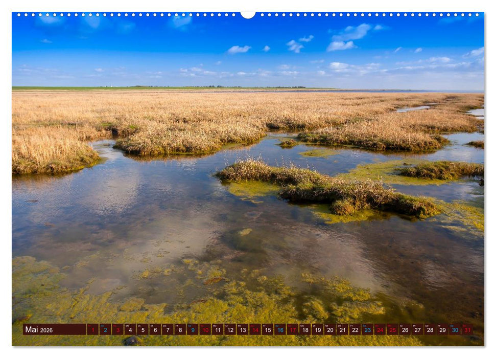 Dänemark - Jütland & Kopenhagen, Impressionen aus dem hohen Norden (CALVENDO Premium Wandkalender 2026)