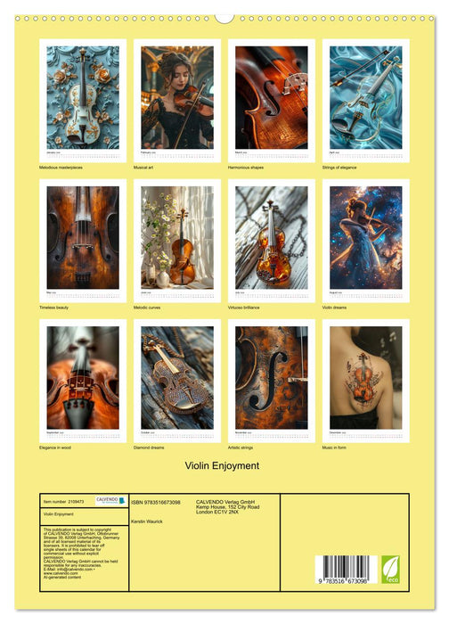 Violin Enjoyment (CALVENDO Premium-Calendar 2026)