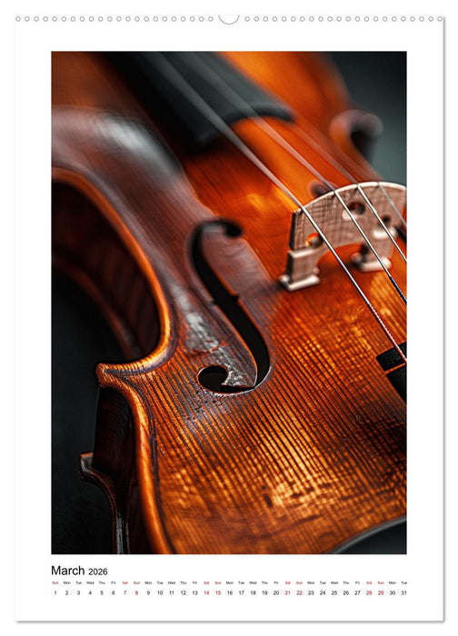 Violin Enjoyment (CALVENDO Premium-Calendar 2026)