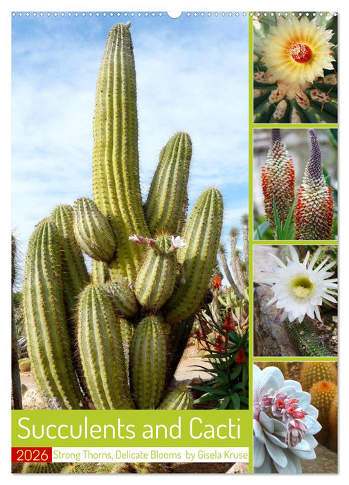 Succulents and Cacti - Strong Thorns, Delicate Blooms (CALVENDO Monthly Calendar 2026)