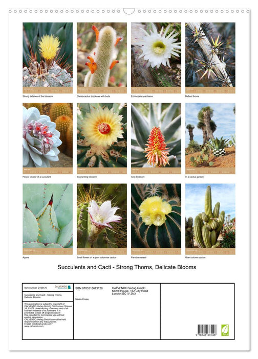Succulents and Cacti - Strong Thorns, Delicate Blooms (CALVENDO Monthly Calendar 2026)