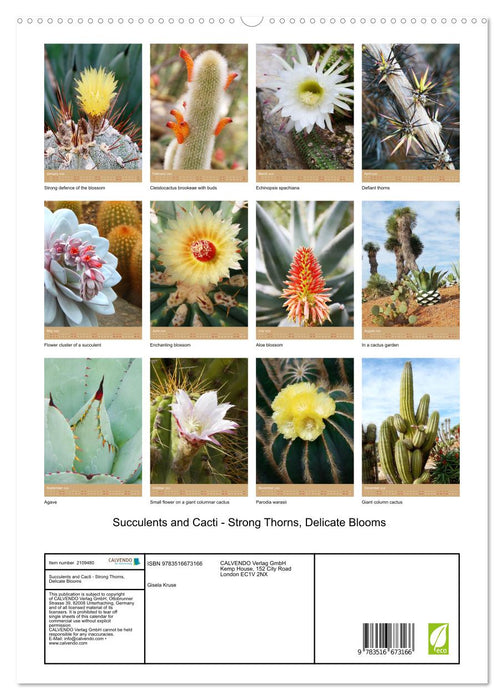 Succulents and Cacti - Strong Thorns, Delicate Blooms (CALVENDO Premium-Calendar 2026)