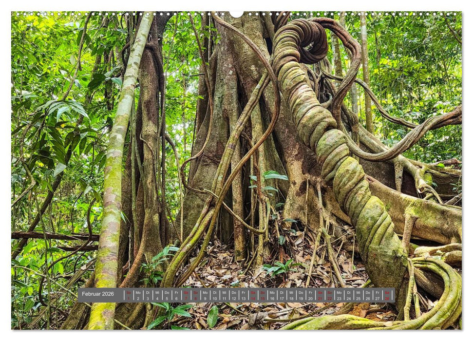 Entdecke Sumatra (CALVENDO Wandkalender 2026)