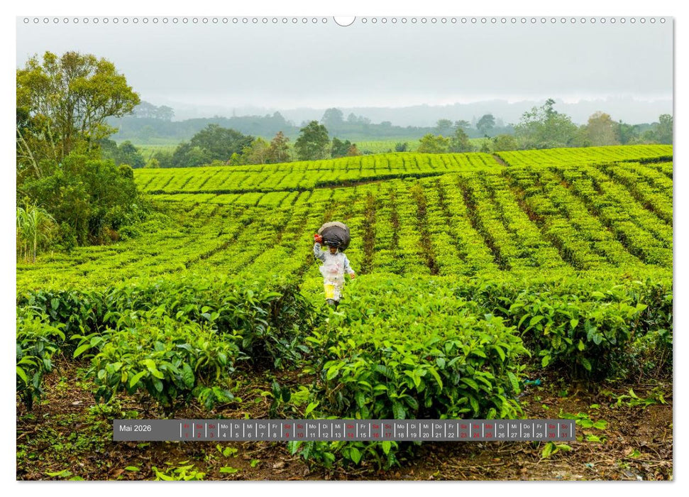 Entdecke Sumatra (CALVENDO Wandkalender 2026)