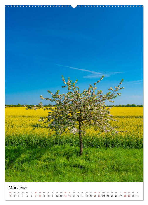Magdeburg - Die schönsten Momente (CALVENDO Premium Wandkalender 2026)