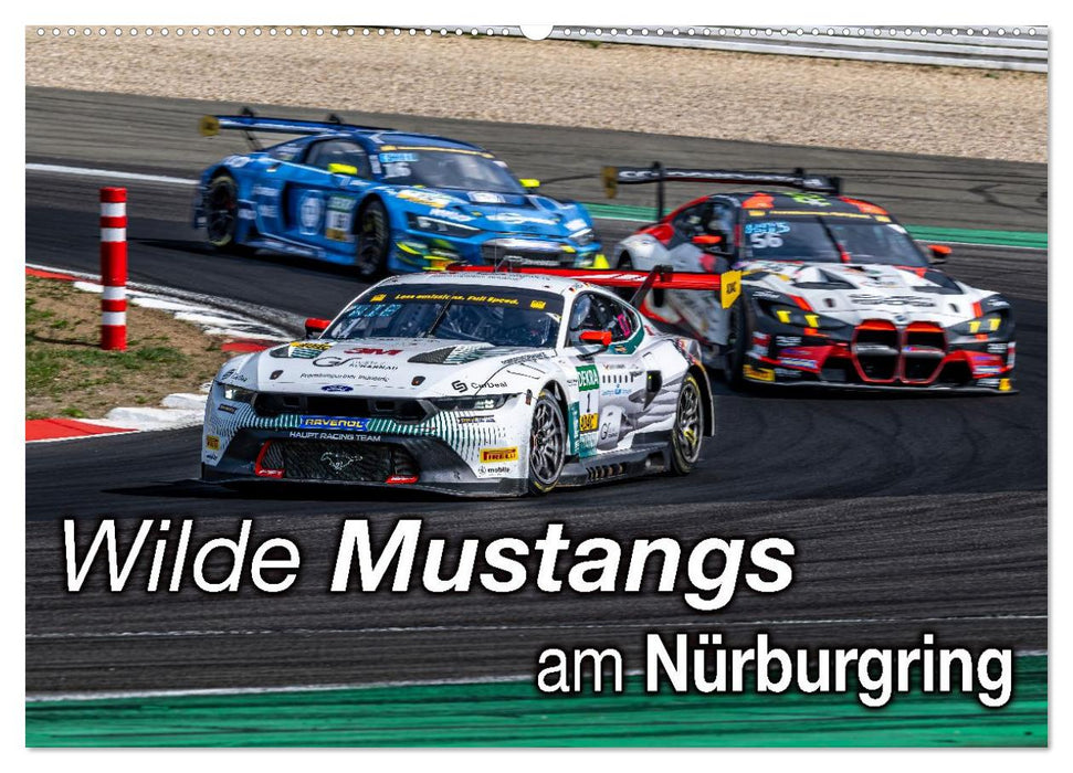 Wilde Mustangs am Nürburgring (CALVENDO Wandkalender 2026)