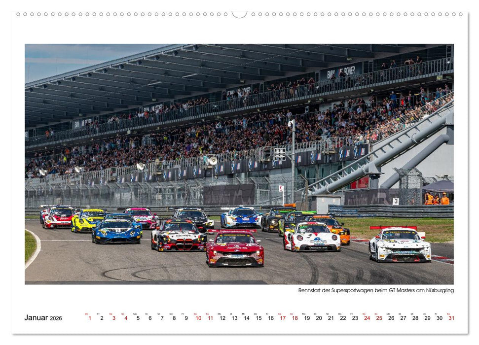 Wilde Mustangs am Nürburgring (CALVENDO Wandkalender 2026)