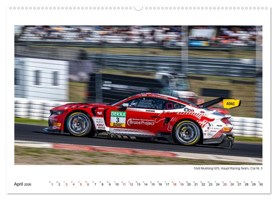 Wilde Mustangs am Nürburgring (CALVENDO Wandkalender 2026)