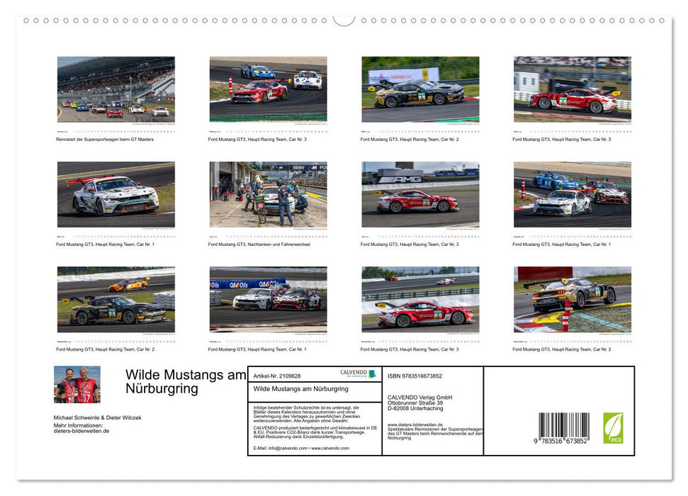 Wilde Mustangs am Nürburgring (CALVENDO Premium Wandkalender 2026)