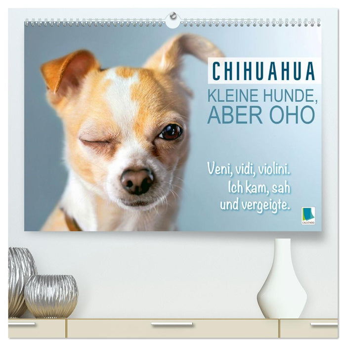 Chihuahua: Kleine Hunde, aber oho (CALVENDO Premium Wandkalender 2026)