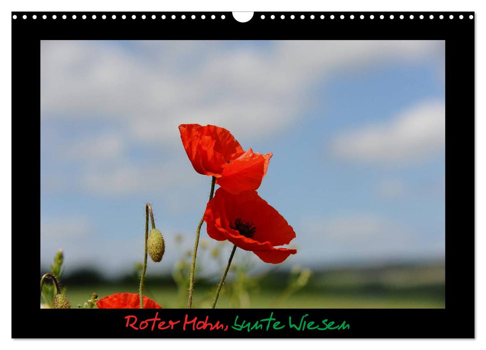 Roter Mohn, bunte Wiesen (CALVENDO Wandkalender 2026)