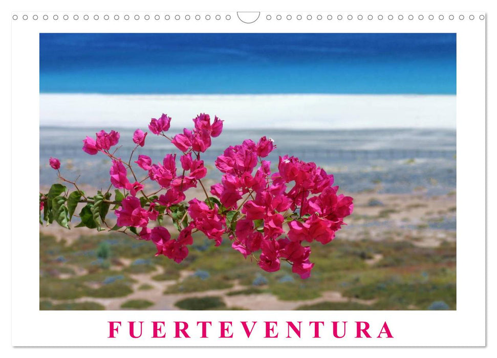 Fuerteventura (CALVENDO Wandkalender 2026)