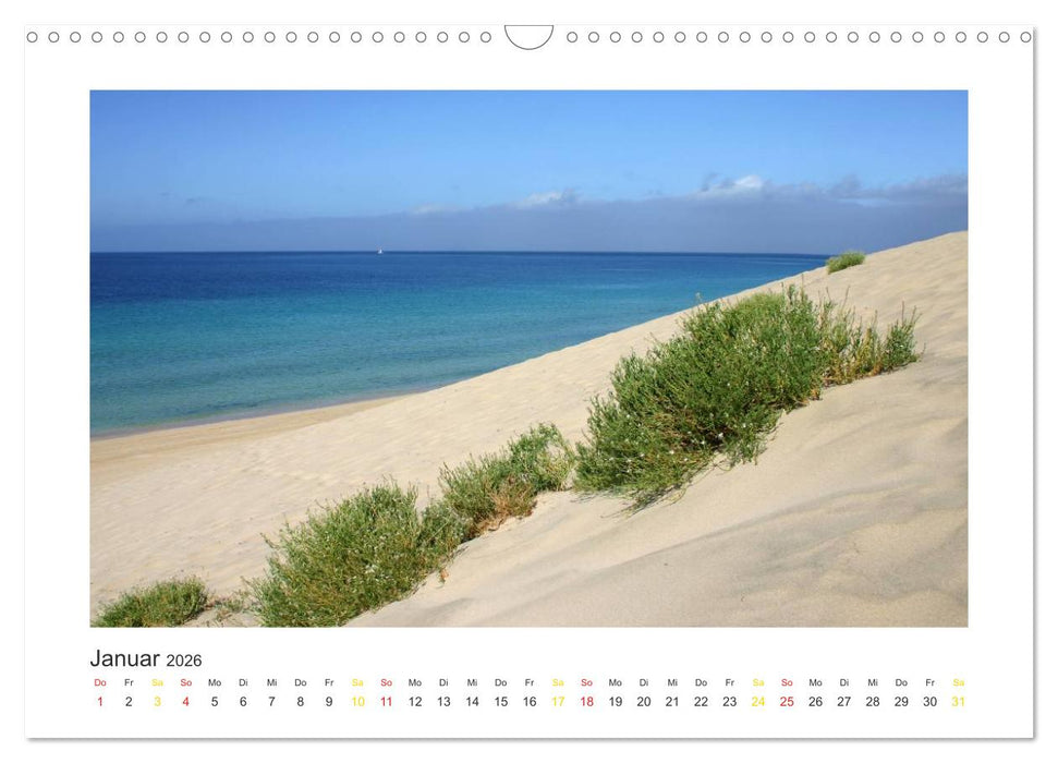 Fuerteventura (CALVENDO Wandkalender 2026)