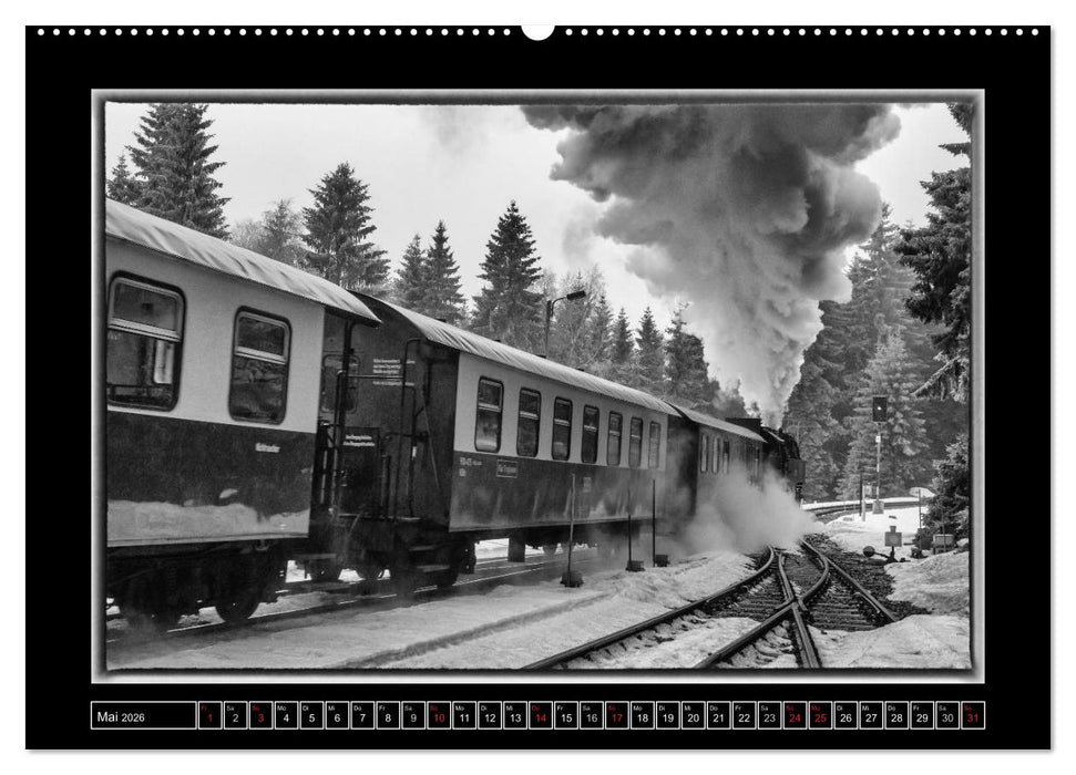 Unter Dampf - Eisenbahnromantik im Harz (CALVENDO Premium Wandkalender 2026)
