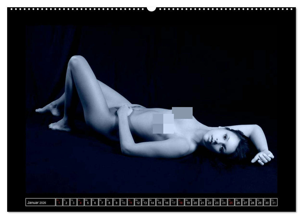 L´heure bleu - Die blaue Stunde (CALVENDO Premium Wandkalender 2026)