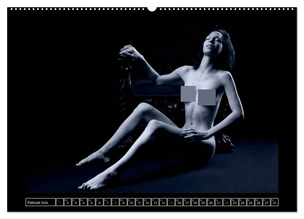 L´heure bleu - Die blaue Stunde (CALVENDO Premium Wandkalender 2026)