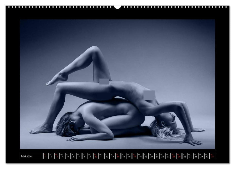 L´heure bleu - Die blaue Stunde (CALVENDO Premium Wandkalender 2026)