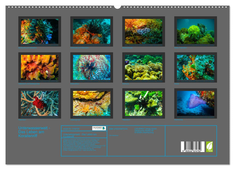 Unterwasserwelt - Das Leben am Korallenriff (CALVENDO Premium Wandkalender 2026)