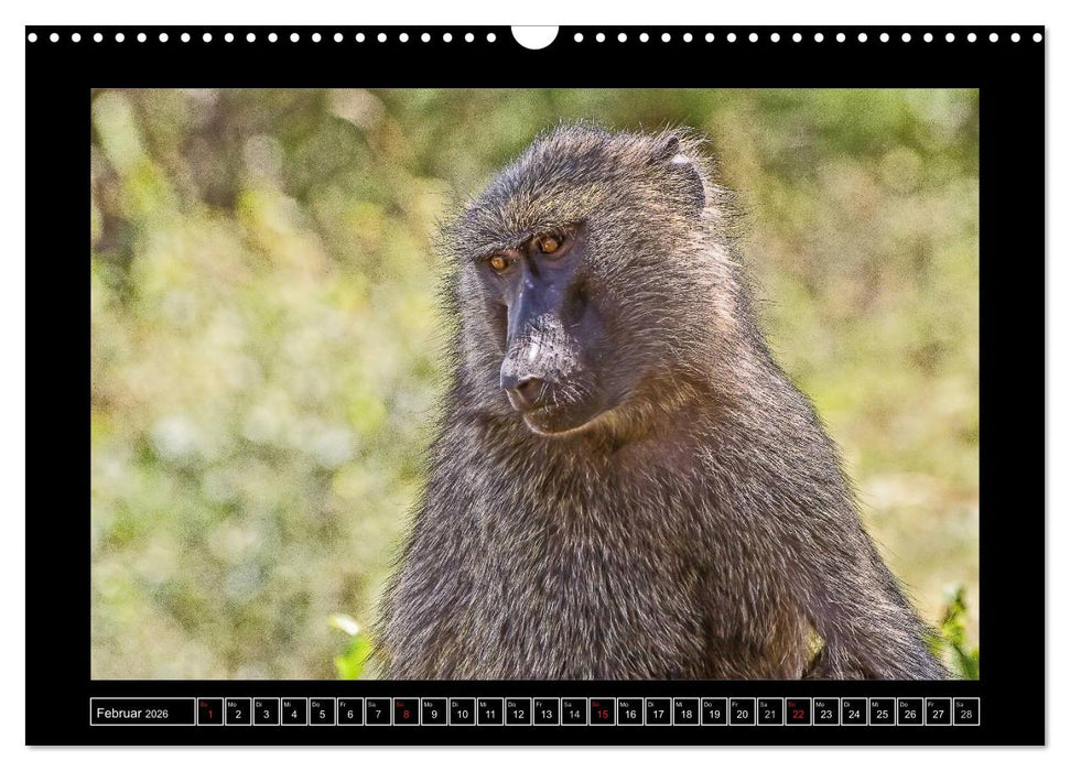 Äthiopien (CALVENDO Wandkalender 2026)