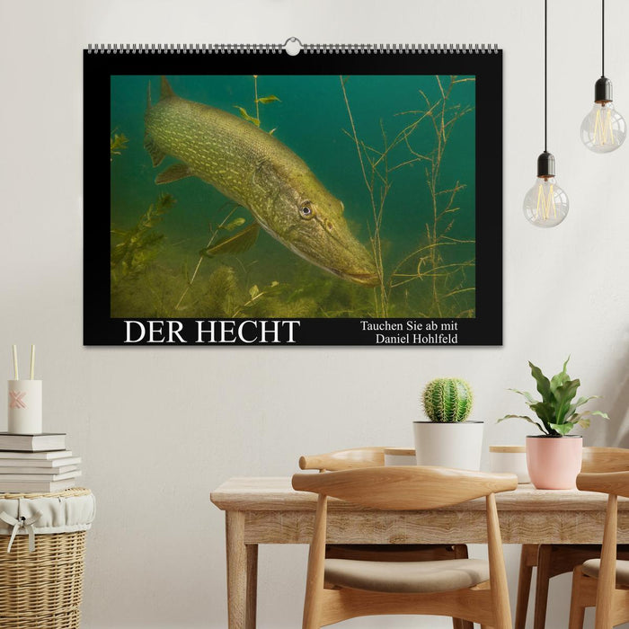 Der Hecht - Tauchen Sie ab mit Daniel Hohlfeld (CALVENDO Wandkalender 2026)