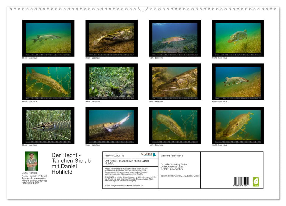 Der Hecht - Tauchen Sie ab mit Daniel Hohlfeld (CALVENDO Wandkalender 2026)
