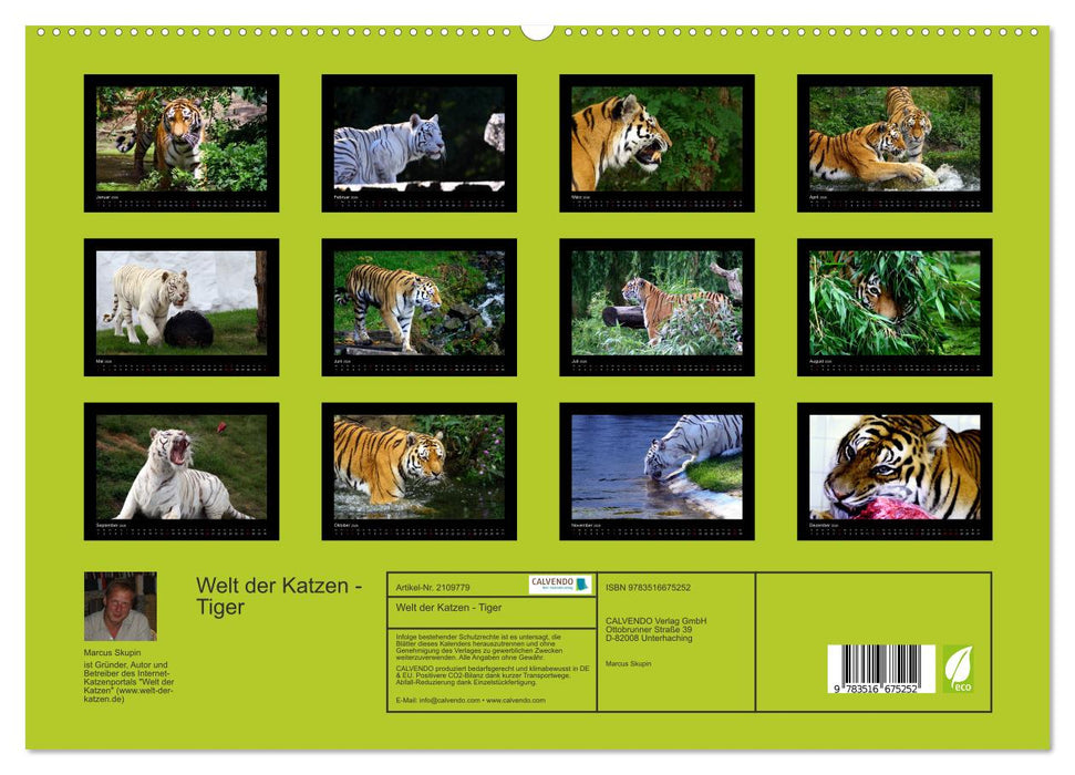 Welt der Katzen - Tiger (CALVENDO Premium Wandkalender 2026)
