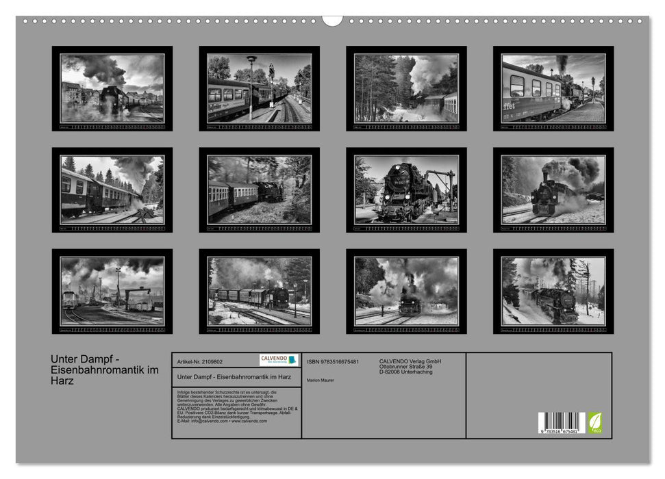 Unter Dampf - Eisenbahnromantik im Harz (CALVENDO Wandkalender 2026)