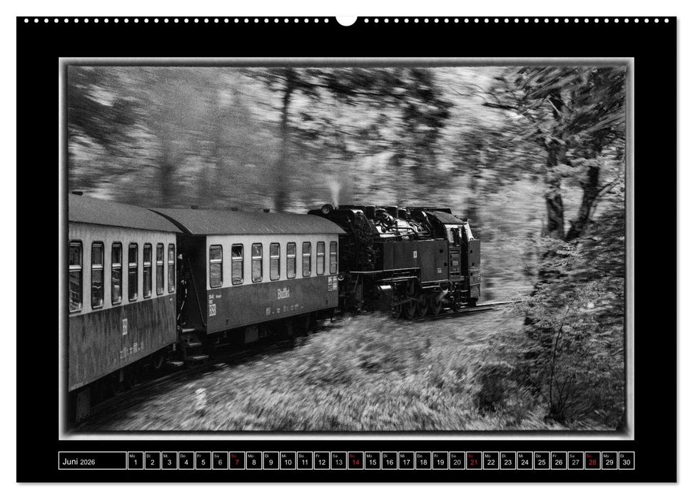 Unter Dampf - Eisenbahnromantik im Harz (CALVENDO Wandkalender 2026)