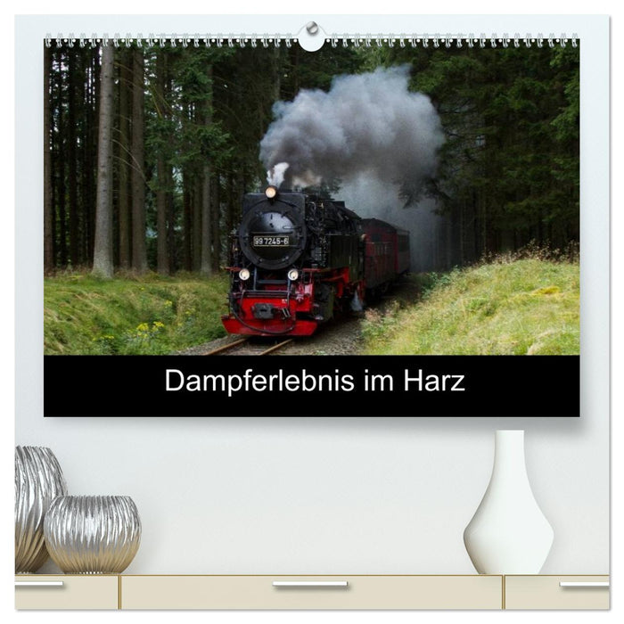 Dampferlebnis im Harz (CALVENDO Premium Wandkalender 2026)