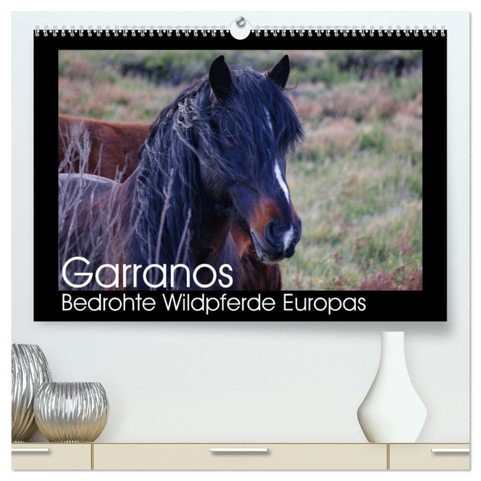 Garranos - Bedrohte Wildpferde Europas (CALVENDO Premium Wandkalender 2026)