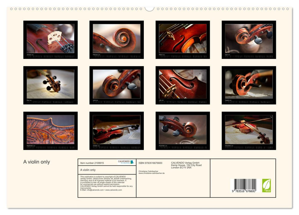 A violin only (CALVENDO Premium-Calendar 2026)