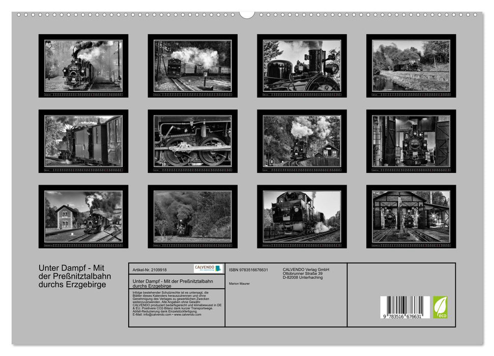 Unter Dampf - Mit der Preßnitztalbahn durchs Erzgebirge (CALVENDO Premium Wandkalender 2026)