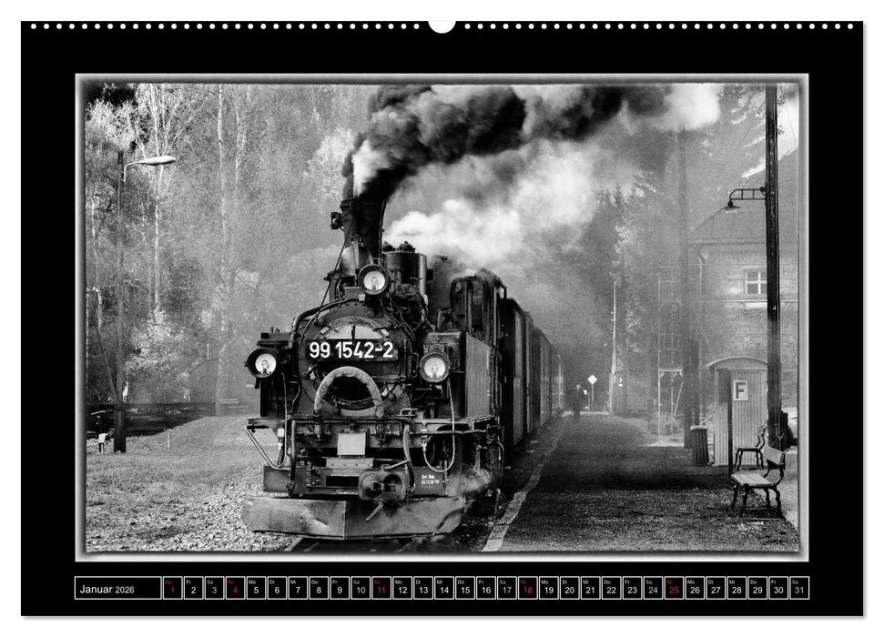 Unter Dampf - Mit der Preßnitztalbahn durchs Erzgebirge (CALVENDO Premium Wandkalender 2026)
